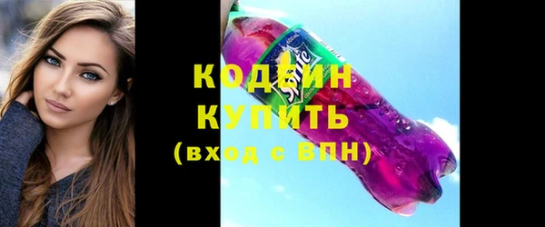 крисы Абаза