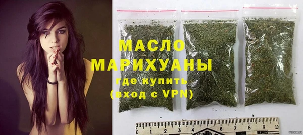сатива Няндома
