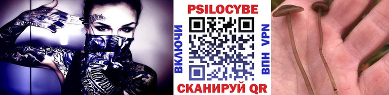 купить наркоту  Закаменск  Галлюциногенные грибы мицелий 